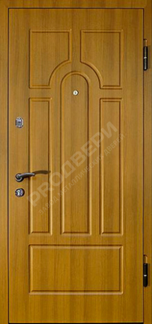 Фотография «Дверь трехконтурная №5»